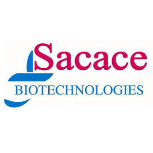 sacase