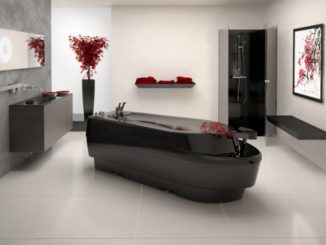 Trautwein Ergolima Wet Massage Table