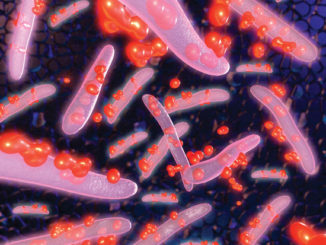 Wastewater Bioaugmentation Products