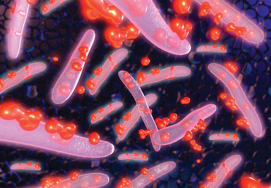 Bioaugmentation_Metal_Eating_Microbes